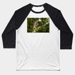 Northern Saw Whet Owl - Amherst Island, Ontario, Canada Baseball T-Shirt